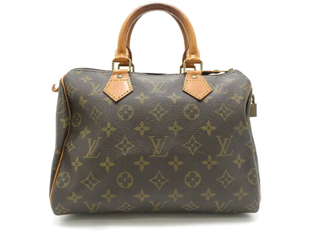 Louis Vuitton Speedy Monogram Bag